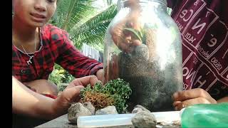 How to make terrarium #terrariummakingproject