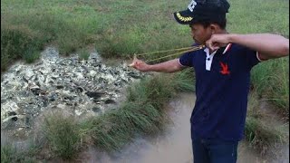 fishing Strange - fishing with​​​​​​​​​​​​​​ Slingshots by boy-How to Catches Fish (Part 160)