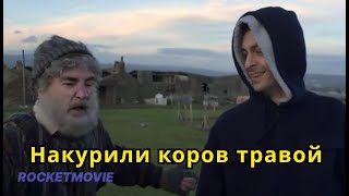 Накурили коров травой \ Сериал Голяк \ Что посмотреть