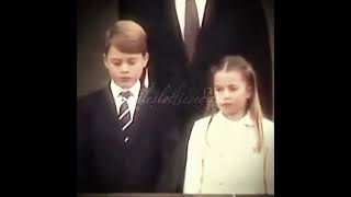 Lottie’s boss moments with her brothers #short #charlotte #princegeorge #princelouis #boss #ukroyal