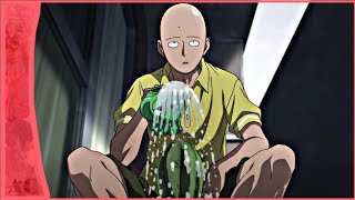 Saitama Trying to Kill the Mosquito Scene | One Punch Man