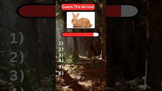 Guess the Animal by Picture Part 6🙈 #shorts #animals #quiz #animalquiz #animaltrivia