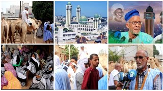 Mawlod Médina Baye 2024 : Les disciples Maures offrent plus de 50 Chameaux à  Cheikh MAHI NIASS...