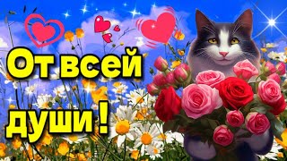 💗🌷хорошему человеку от всей души🌼💗красивая музыкальная открытка