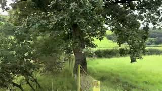 (4k60 HDR) Vale of Rheidol Railway (Rheilffordd Cwm Rheidol) arriving at Capel Bangor station.