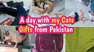 30 day daily vlogging completed // A Day with my Sweet babies // Gifts from Pakistan #Fehmidaniazi