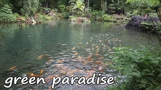 LITTLE JAPAN di PAGARALAM real GREEN PARADISE