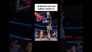 Ja Morant Lob over LeBron James 🤯 Ja Morant almost put LeBron James in a poster #jamorant #shorts