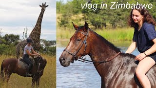 inizia il mio viaggio in Africa🦒🇿🇼 || Flaminia Bologna