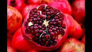 6 Fruits That Can Burn Fats