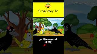 Kau Maruchi Tira || odia gapa || tiki chadhei gapa || odia cartoon || odia moral story