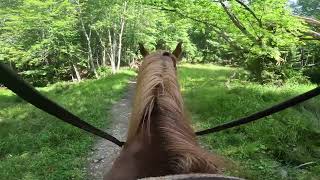 Pipestem State Park - 2 Hour Horseback Riding Trip (First Time Rider)