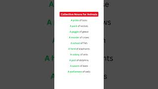 Collective Nouns for Animals | Group of Animals #shorts #animalscollection #mcquizofficial