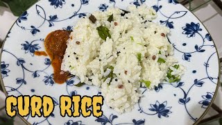 Simple Curd Rice Recipe 🍚 | Thayir Sadam | Quick Lunch Recipe