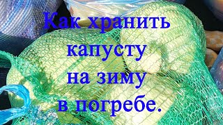 Как хранить капусту на зиму в погребе.