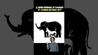 🧠 IQ Test: Count the Animals in 3 Seconds to Reveal Your IQ! #brainteasers #riddles