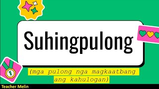 SUHINGPULONG (magkaatbang ang kahulogan)