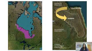 Ice Wedges in the Hudson Bay Lowlands by Tabatha Rahman (WCS Canada Weston Fellow 2022)