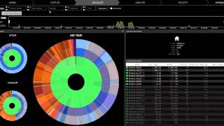 An Introduction to Eye P.A. 1.6 with Expert Analysis