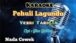 PEHULI LAGUNDU | YESRI TARIGAN | KARAOKE LAGU KARO | NADA CEWEK