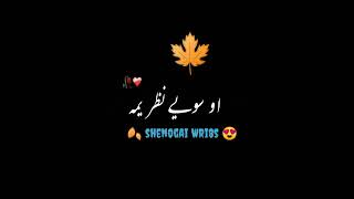 ❤️ pashto black screen poetry status||iMovie black screen poetry status #viralstatus #status #viral