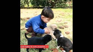 cute baby & cute puppies ❤️😍|Rana & Family| mini vlog