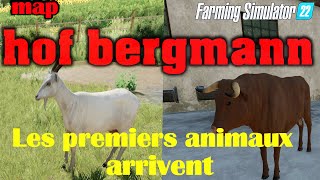 😁(FS22)(SERIE)😂 MAP HOF BERGMANN les premiers animaux arrivent🚜 😂multi