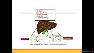 Interpretación bioquímica en sospecha de colestasis - Dra. Adelina Lozano