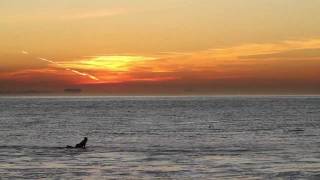 Topanga Beach Surfing Sunrise