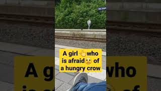 The hungry black crow scares the girl who is eating