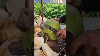 Huge and green coconut is good for healthy drinking #coconut #fruit #shorts #viralvideo