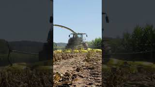 John Deere 9900 Corn Choppin #agriculture #farmequipment #farmmachinery #forageharvester #johndeere