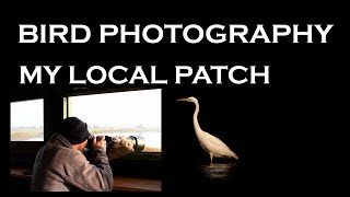 My local wildlife patch-Bird Photography