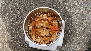 Cleaning, Cooking, and Picking VA Blue Crabs