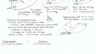 Pulmonary Gas Exchange 3 - Alveolar Gas Equation (Specific Applications)