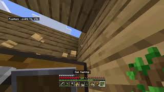 Minecraft Playthrough LIVE (2)