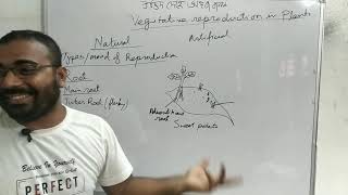 2. Natural vegitative reproduction in plant উদ্ভিদ দেহে প্রাকৃতিক অঙ্গজ জনন class12 Ch1