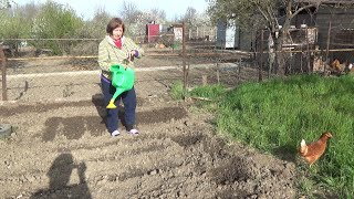 БУДНИ В ДЕРЕВНЕ. ПЕРЕЖИВАЕМ ЗА УГЛЕДАР. ТРУДОТЕРАПИЯ ДЛЯ РОДИТЕЛЕЙ.