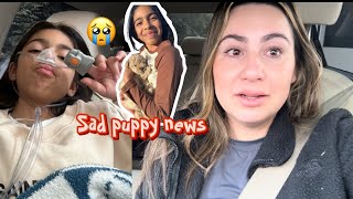 EMMA GETS SURGERY// SOMETHING HAPPENED TO OUR DOG 😭😢