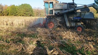 Gleaner K shelling more corn