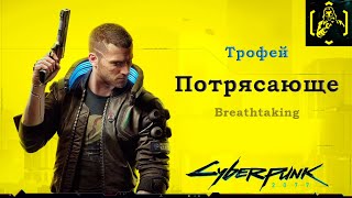 Cyberpunk 2077 - Трофей Потрясающе/Breathtaking