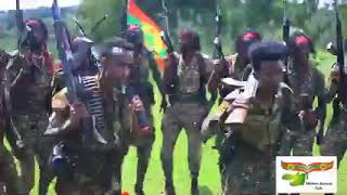 breaking News Oromia Minittarii