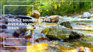 Нежные Звуки Реки И Голоса Птиц, Которые Очищают Разум, Asmr ✦ Relax Sound ✦ Birdsong