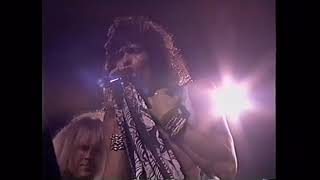 Aerosmith - Love In An Elevator - Auburn Hills 25/05/1990