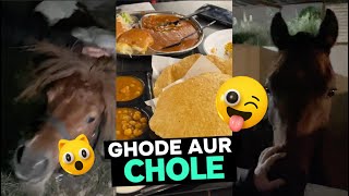 Ghode aur chole | capture weekend vlog #018 #horses #food #licence #globalvillage #africa