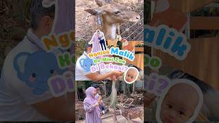 Malik Seneng Banget Diajak Ke Mini Zoo di Bekasi #mumukdaneno