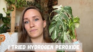 I Tried Hydrogen Peroxide - What Went Wrong?