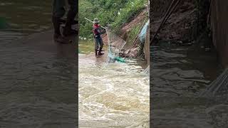 Fisherman Cast Net Fishing Real Life Amazing Fishing At Countryside .(Episode 205)