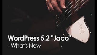 WordPress Update 5.2 "Jaco"  - What's New?