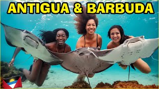 SCARY!!! Swimming With Stingrays In Stingray City Antigua and Barbuda 🇦🇬